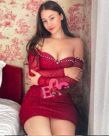 meena classic escort service chandigarh